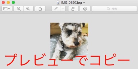 f:id:tomi_kun:20181225130621j:plain