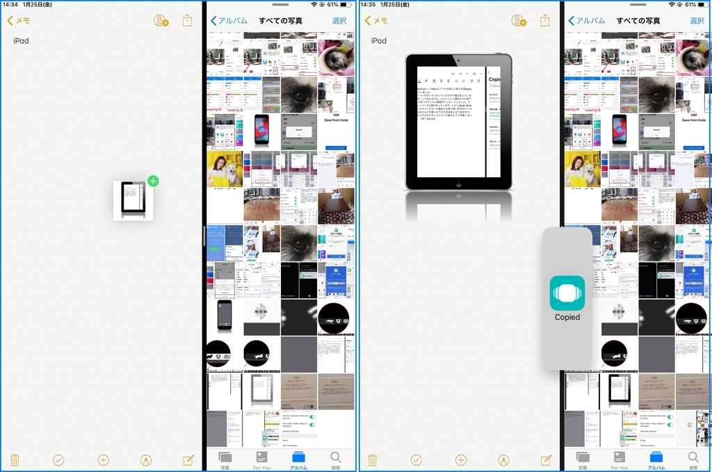 f:id:tomi_kun:20190125194724j:plain f:id:tomi_kun:20190125194724j:plain