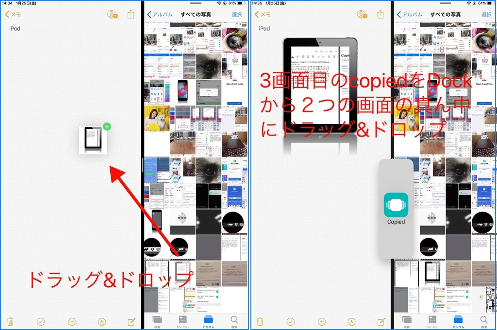 f:id:tomi_kun:20190126125604j:plain f:id:tomi_kun:20190126125604j:plain