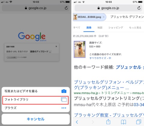 f:id:tomi_kun:20190515205014j:plain