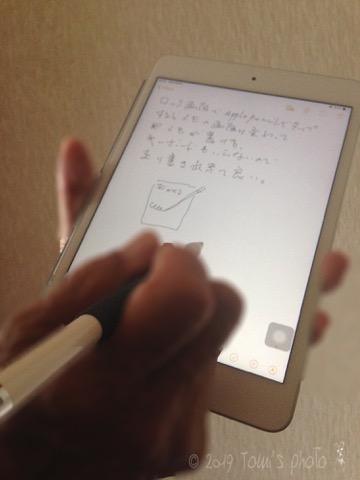 f:id:tomi_kun:20190611205456j:plain