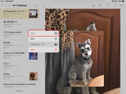 f:id:tomi_kun:20200524093643j:plain f:id:tomi_kun:20200524093643j:plain