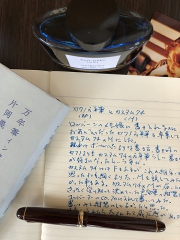  文字を手書きするということ[Apple Pencil][Notability][カスタム74