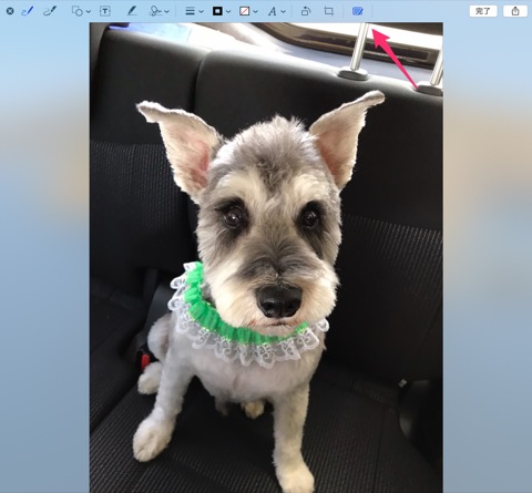 f:id:tomi_kun:20201024180711j:plain f:id:tomi_kun:20201024180711j:plain