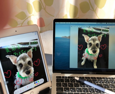 f:id:tomi_kun:20201024180739j:plain f:id:tomi_kun:20201024180739j:plain