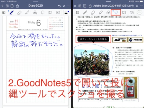 f:id:tomi_kun:20201110181959j:plain f:id:tomi_kun:20201110181959j:plain