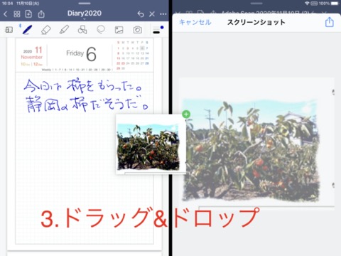 f:id:tomi_kun:20201110182017j:plain f:id:tomi_kun:20201110182017j:plain