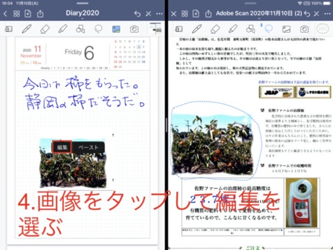 f:id:tomi_kun:20201110182038j:plain f:id:tomi_kun:20201110182038j:plain