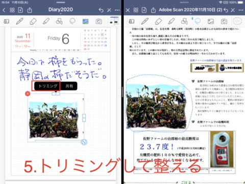 f:id:tomi_kun:20201110182059j:plain f:id:tomi_kun:20201110182059j:plain