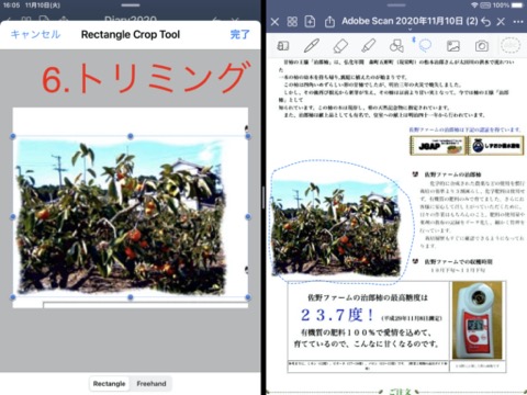 f:id:tomi_kun:20201110182116j:plain f:id:tomi_kun:20201110182116j:plain