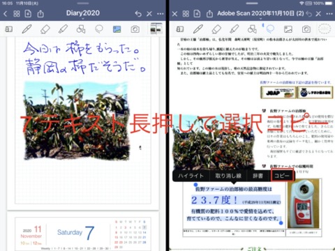 f:id:tomi_kun:20201110182132j:plain f:id:tomi_kun:20201110182132j:plain