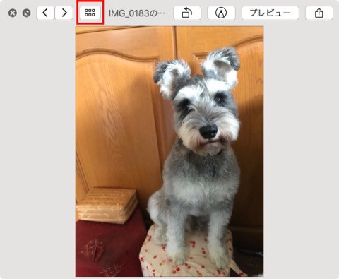 f:id:tomi_kun:20210106103232j:plain