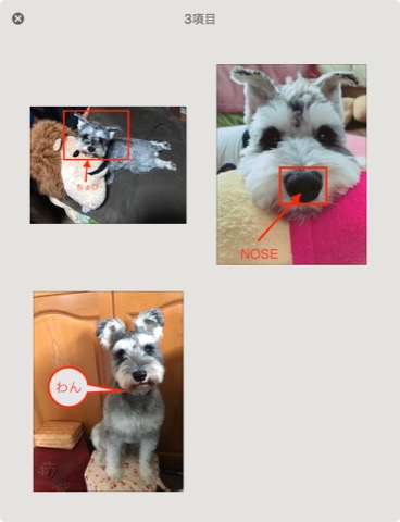 f:id:tomi_kun:20210106104302j:plain