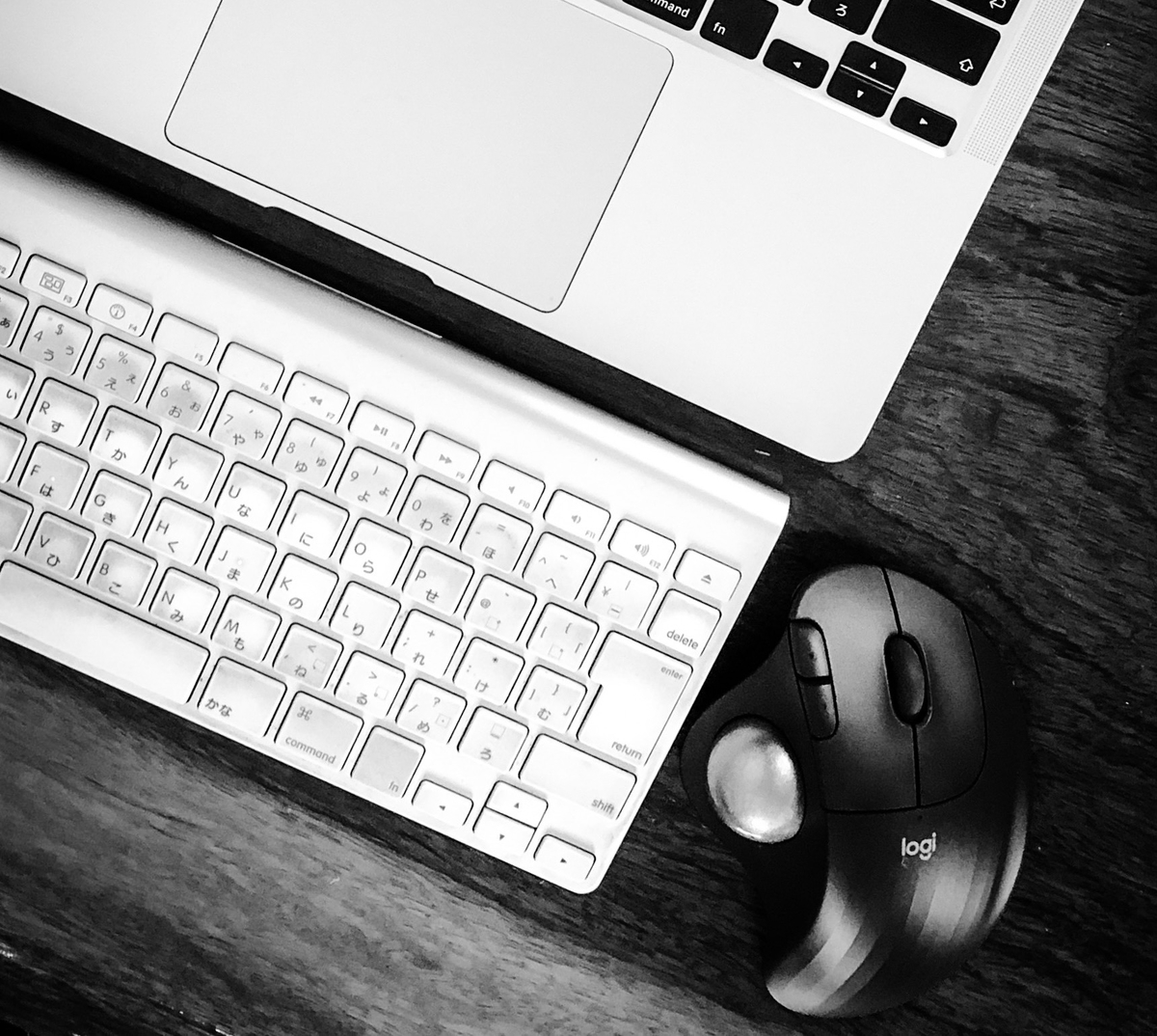 f:id:tomi_kun:20210204193907j:plain