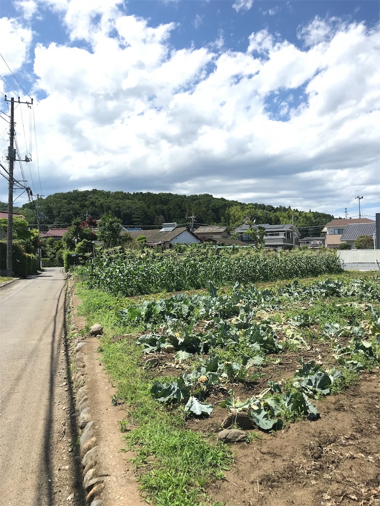 f:id:tomichan0805:20190617162858j:image f:id:tomichan0805:20190617162858j:image