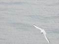 20121105105444