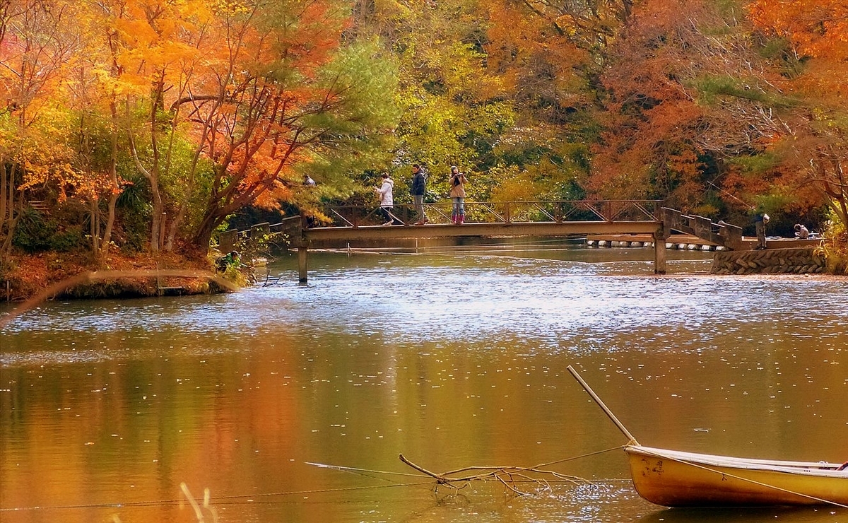 f:id:tomii23:20121209105611j:plain f:id:tomii23:20121209105611j:plain