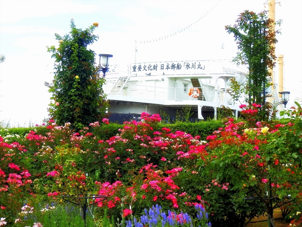 f:id:tomii23:20180704132141j:plain