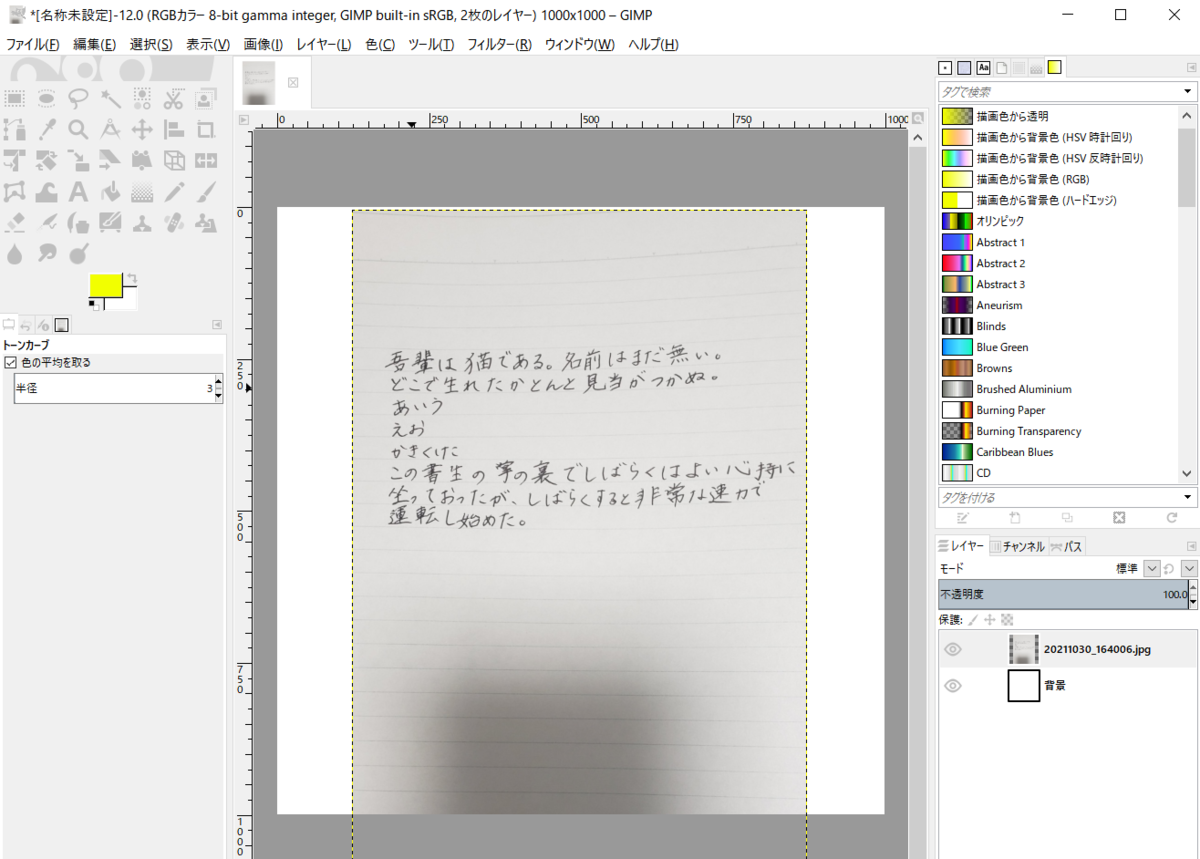 画像を取り込んだところ