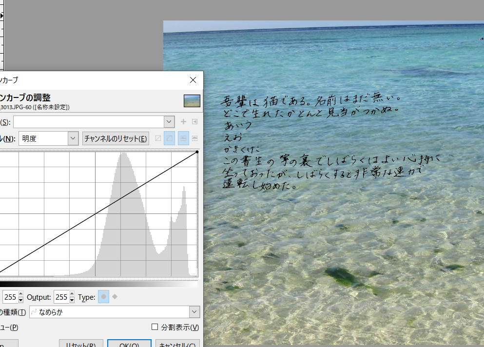 写真に文字を乗せた①