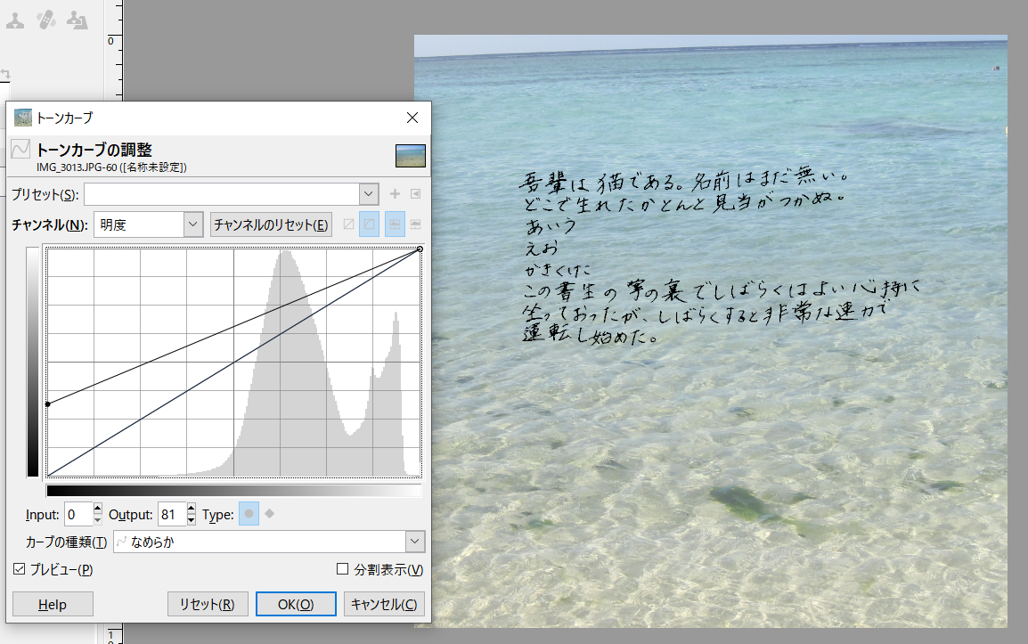写真に文字を乗せた③