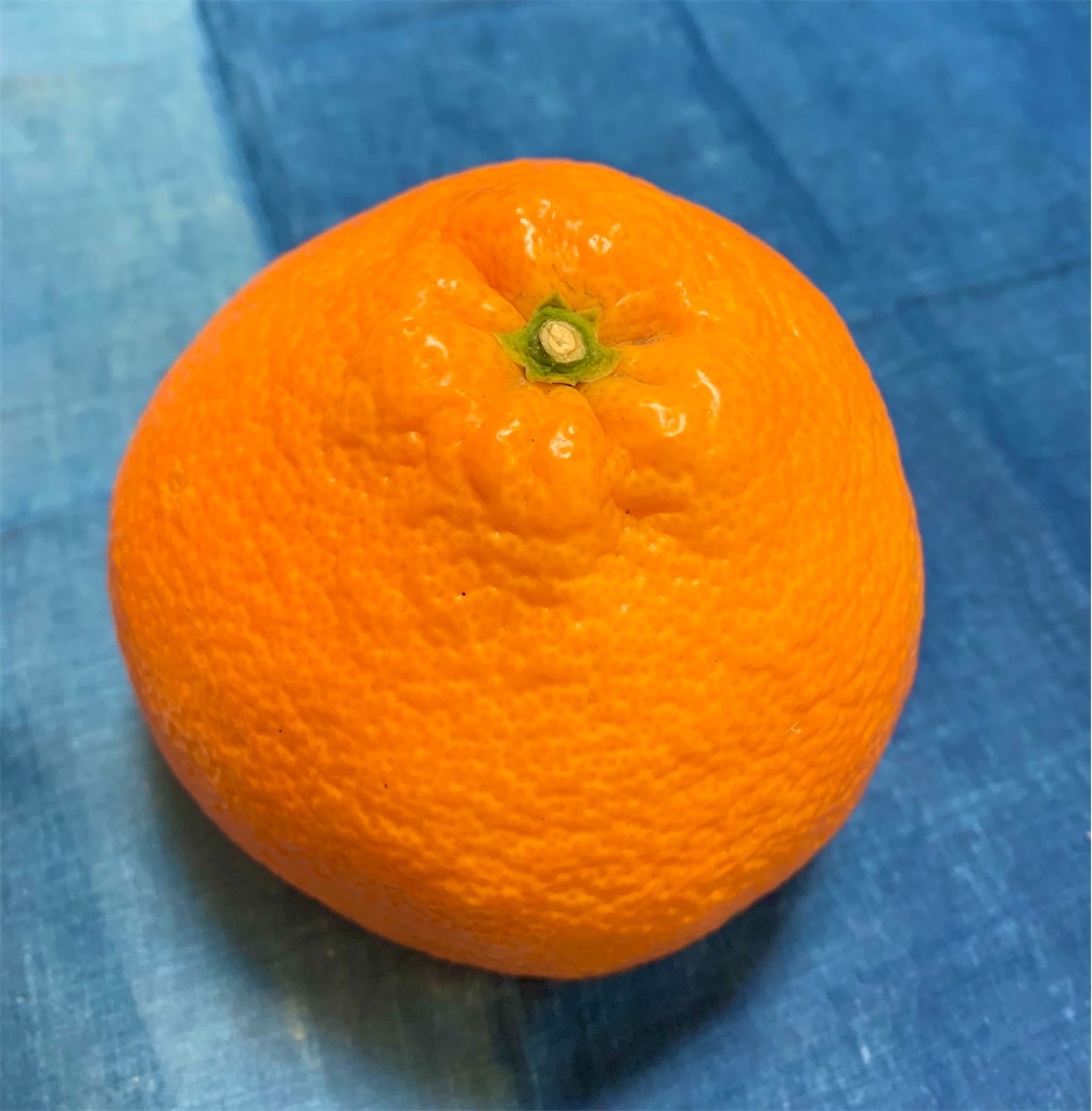 蜜るいよかん やさいのまんま