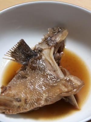 f:id:tominxanadu:20090412152950j:image:right