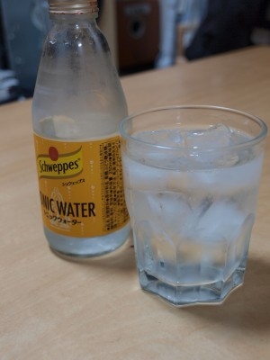 f:id:tominxanadu:20090412154237j:image:left