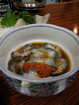 f:id:tominxanadu:20100118155418j:image:right f:id:tominxanadu:20100118155418j:image:right