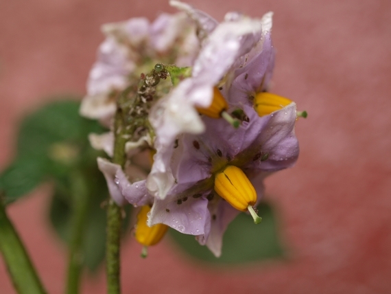 f:id:tominxanadu:20110603115337j:image f:id:tominxanadu:20110603115337j:image
