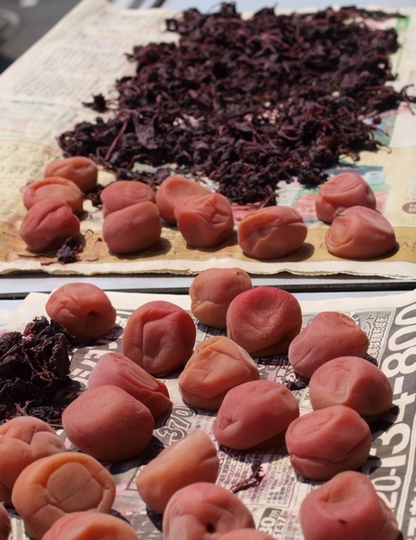 f:id:tominxanadu:20110808213355j:image