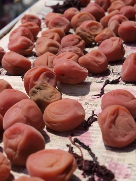 f:id:tominxanadu:20110808213356j:image