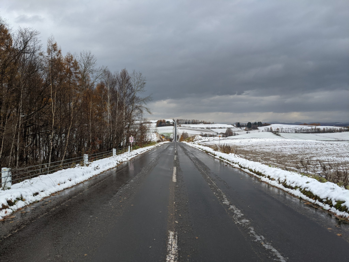 雪がつもり始めているジェットコースターの路の写真