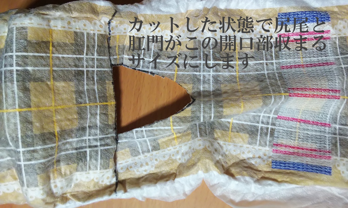 f:id:tomiou:20190805224741j:plain f:id:tomiou:20190805224741j:plain