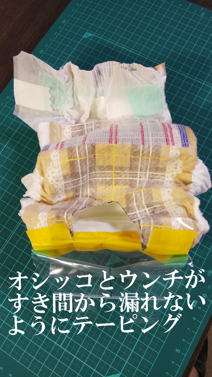 f:id:tomiou:20190805225247j:plain f:id:tomiou:20190805225247j:plain