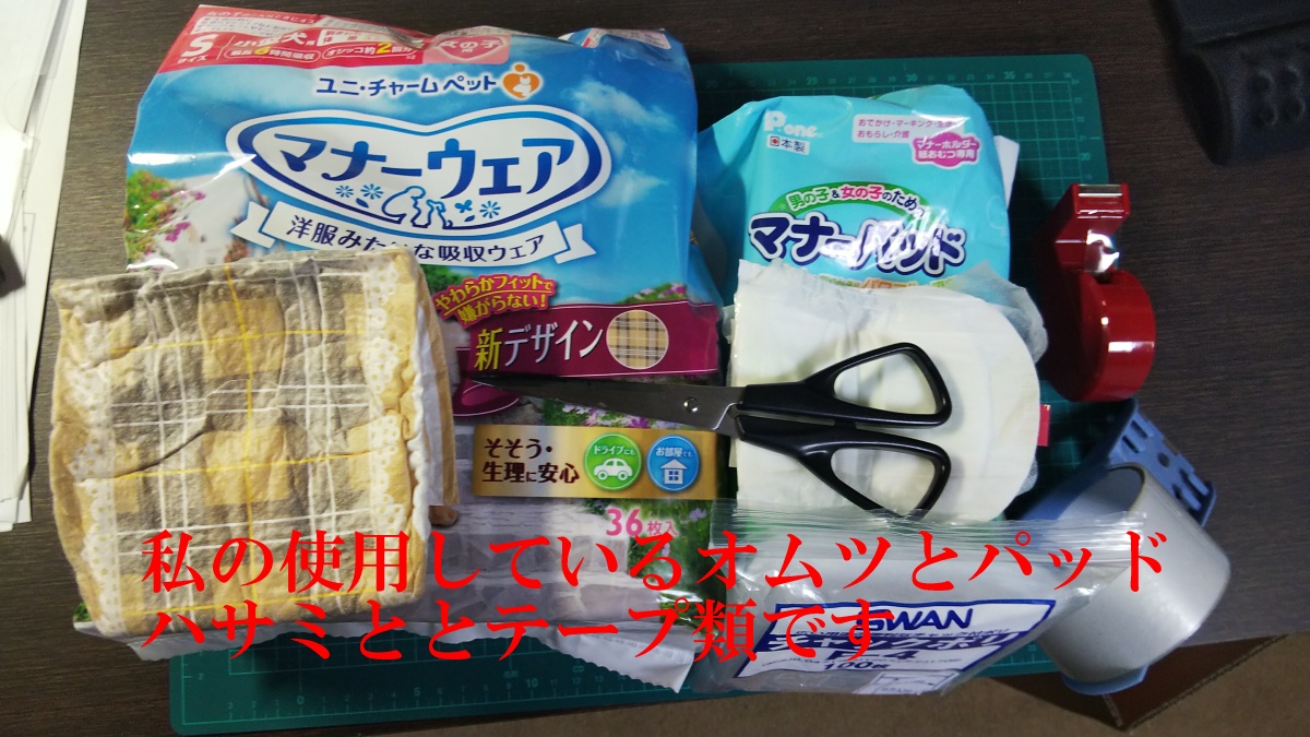 f:id:tomiou:20190805225540j:plain f:id:tomiou:20190805225540j:plain