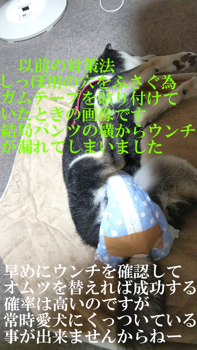 f:id:tomiou:20190806114632j:plain f:id:tomiou:20190806114632j:plain
