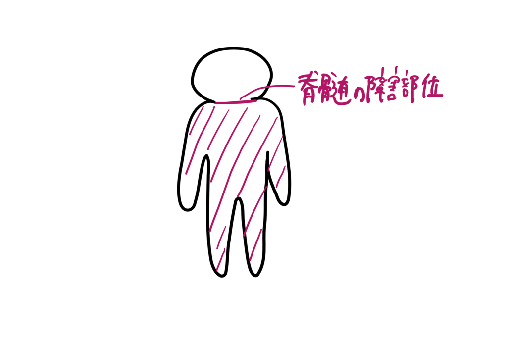 f:id:tomiri17:20170601010829p:plain