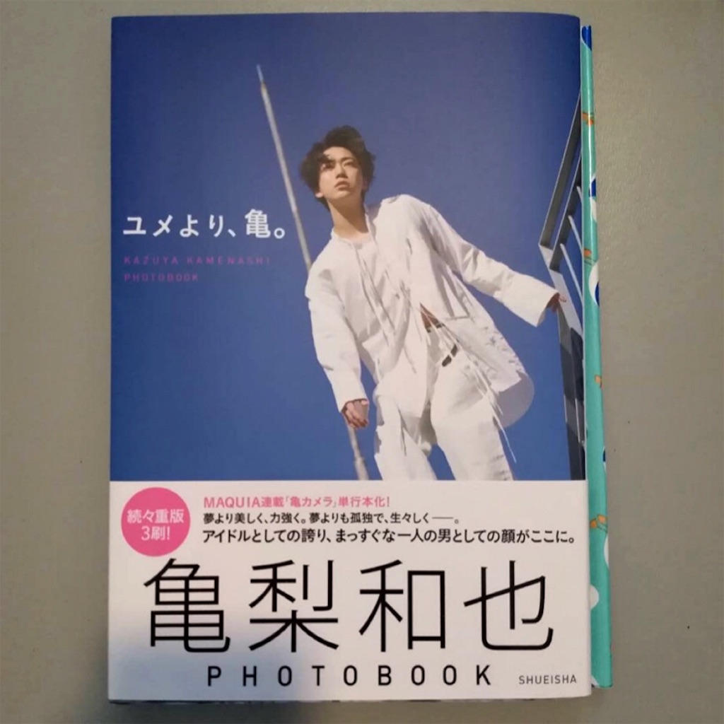 f:id:tomita_turtle:20180421050051j:image f:id:tomita_turtle:20180421050051j:image