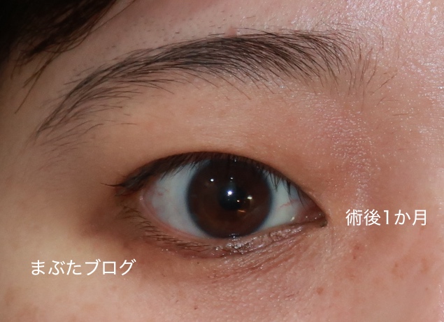f:id:tomitooji:20191129132241j:plain
