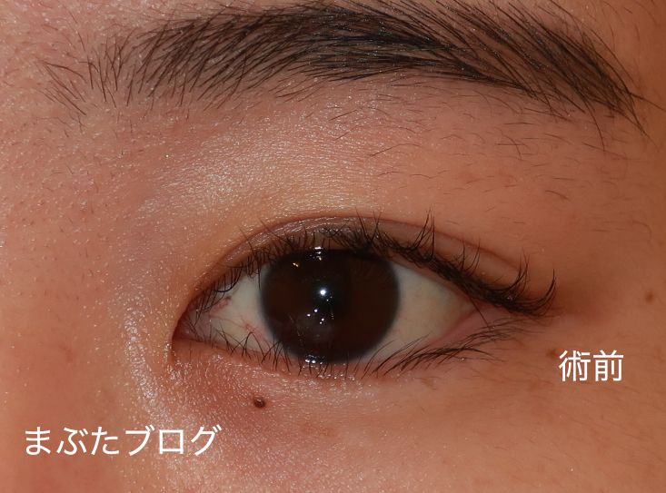 f:id:tomitooji:20210617002746j:plain