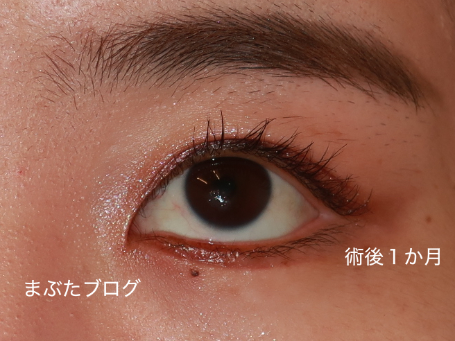 f:id:tomitooji:20210617003410j:plain