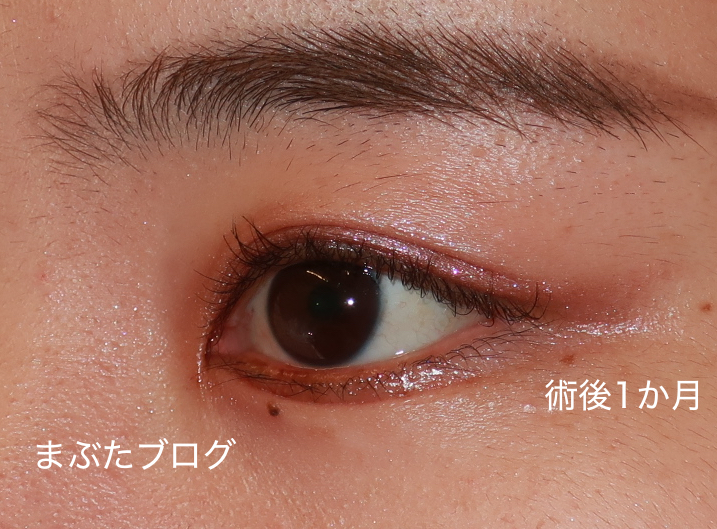 f:id:tomitooji:20210617003454j:plain