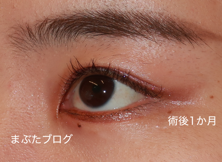 f:id:tomitooji:20210617003514j:plain