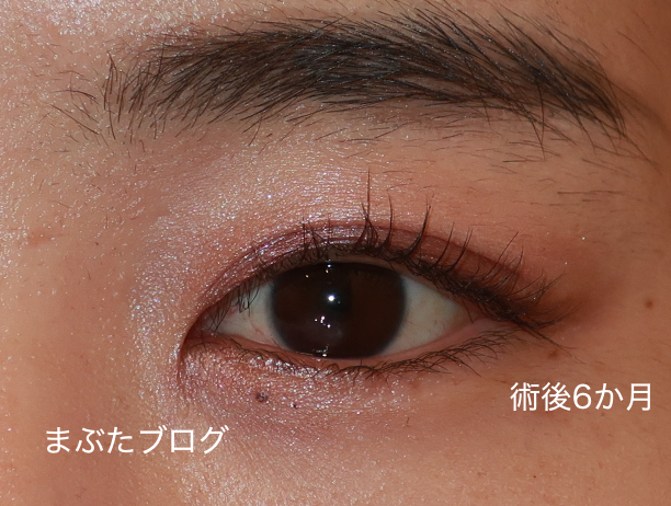 f:id:tomitooji:20210617152826j:plain