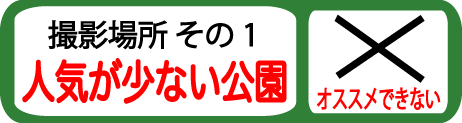 f:id:tomizaki:20180604203307g:plain f:id:tomizaki:20180604203307g:plain