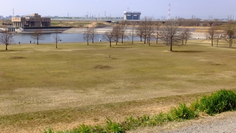 f:id:tomlin:20170228112954j:plain f:id:tomlin:20170228112954j:plain