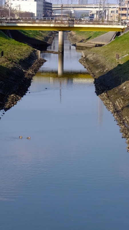 f:id:tomlin:20170228150431j:plain f:id:tomlin:20170228150431j:plain