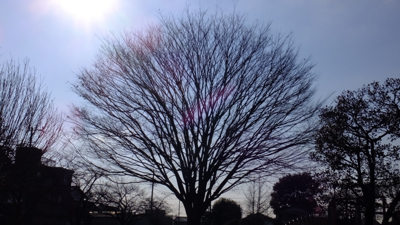 f:id:tomlin:20170228150714j:plain f:id:tomlin:20170228150714j:plain