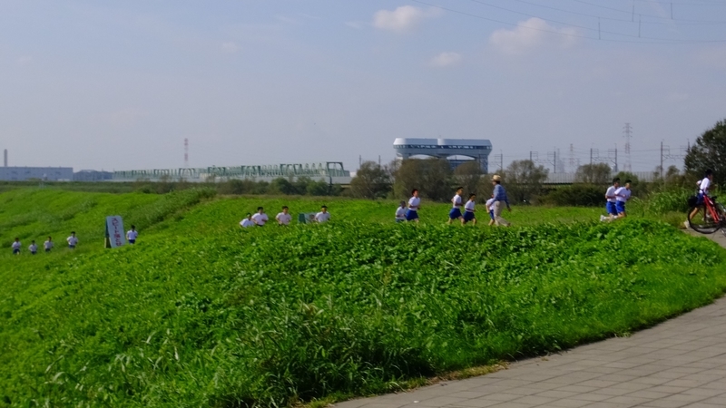 f:id:tomlin:20181017214704j:plain